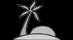 Island Packages